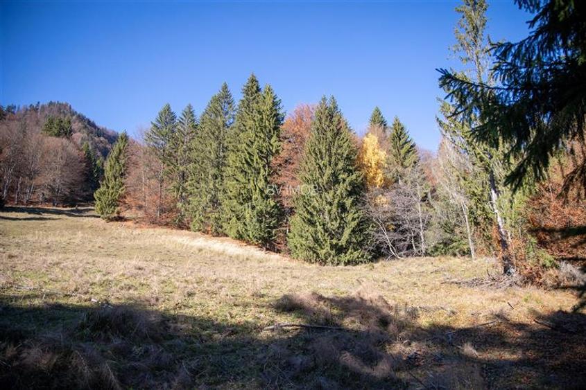 Teren de Vis langa Siriu  – 20000 mp ideal pentru Complex turistic Comision 0% - 13