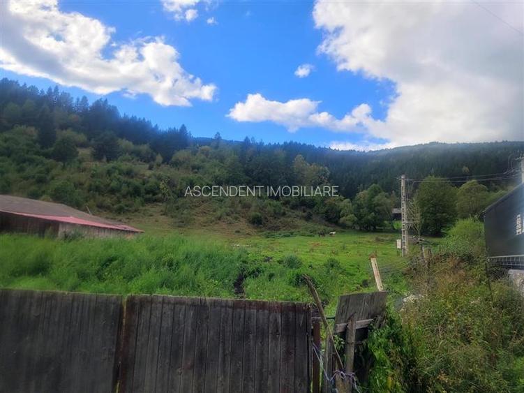 FILM! Teren 33.274 mp, Tulghes, Harghita, panorama munte, destinatie recreativa - 5