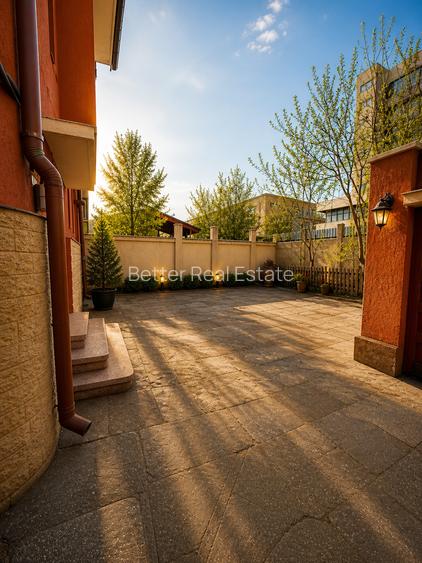 Casa /Vila/Spațiu Comercial, zZona Cotroceni - 10