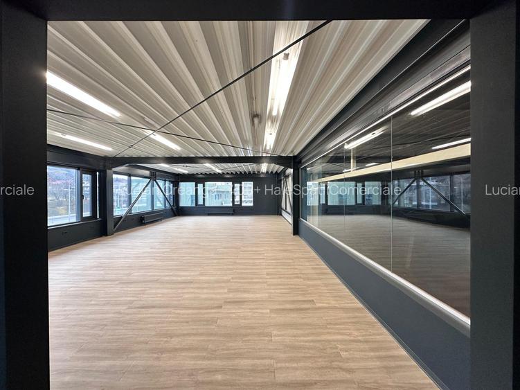 Spatiu sport, birou, beauty, 150mp, Bucium Trei Sarmale - 14