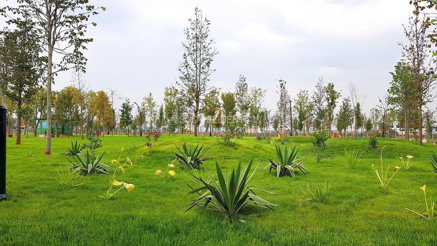 Apartament cu 2 camere, decomandat, etaj intermediar, Parcul Arghezi, Sector 4 - 18