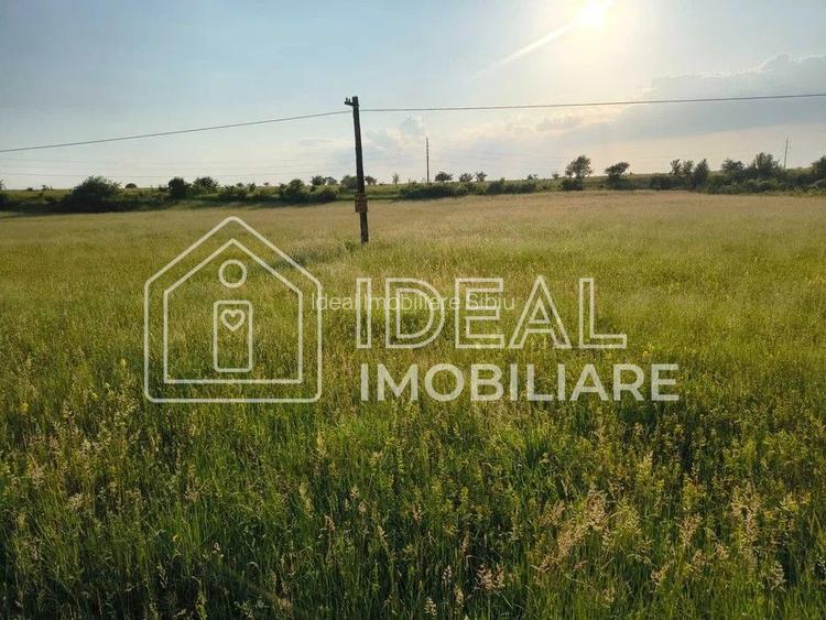Teren extravilan de vânzare | Cârțișoara | 1800 mp - 3