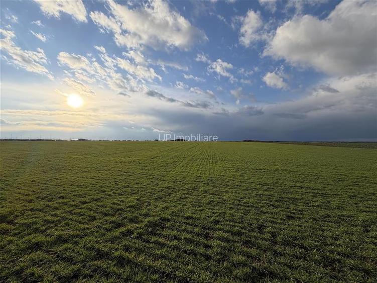 TEREN INTRAVILAN 24457 MP | 80 ML FRONT STRADAL | ORADEA | BIHOR - 2