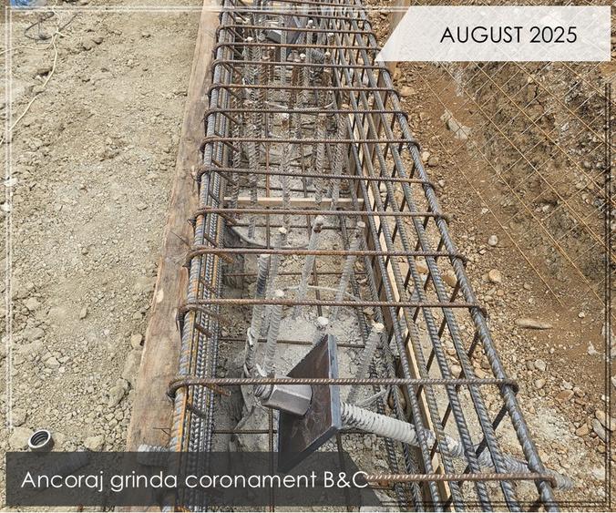 d6549995-630a-4c17-9c3a-b386c748edf7 - 5