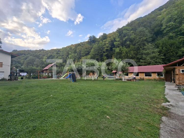 Spatiu de vanzare in Valea Macesului judel Valcea iesire la Lotru - 35
