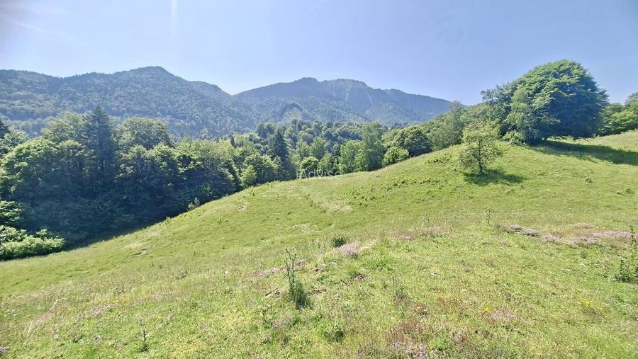 Teren intravilan superb Râșnov Glăjerie - 9