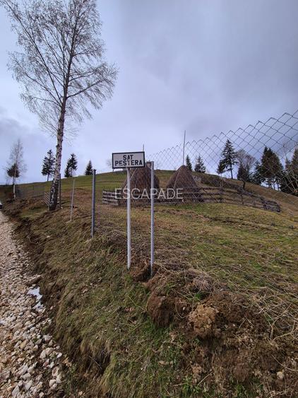 Teren cu energie speciala, Pestera/ 13570mp extravilan/Comision 0 % - 5