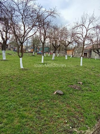 Proprietate de vânzare  - 11