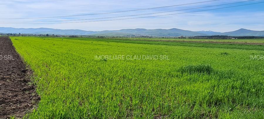 TEREN EXTRAVILAN LANGA FABRICA DE CHERESTEA Holzindustrie Schweighofer - RECI - 3