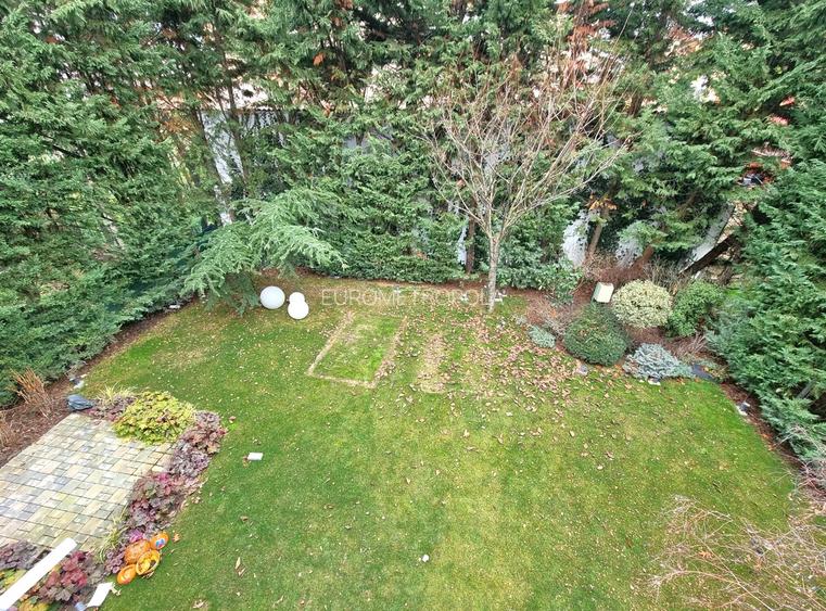 Vila Iancu Nicolae - 13