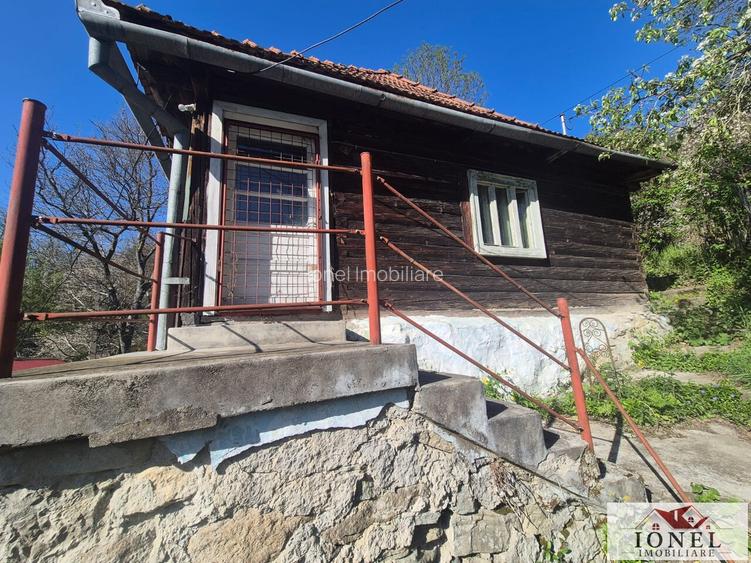 Vanzare casa in Muntii Apusenii - Ocolis - 2