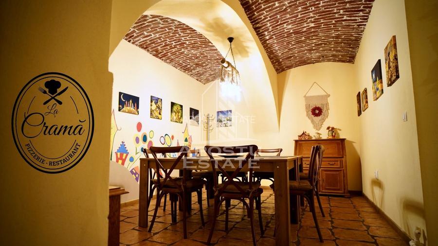 Afacere la cheie, in apropierea Castelului Corvinilor in Hunedoara - 14