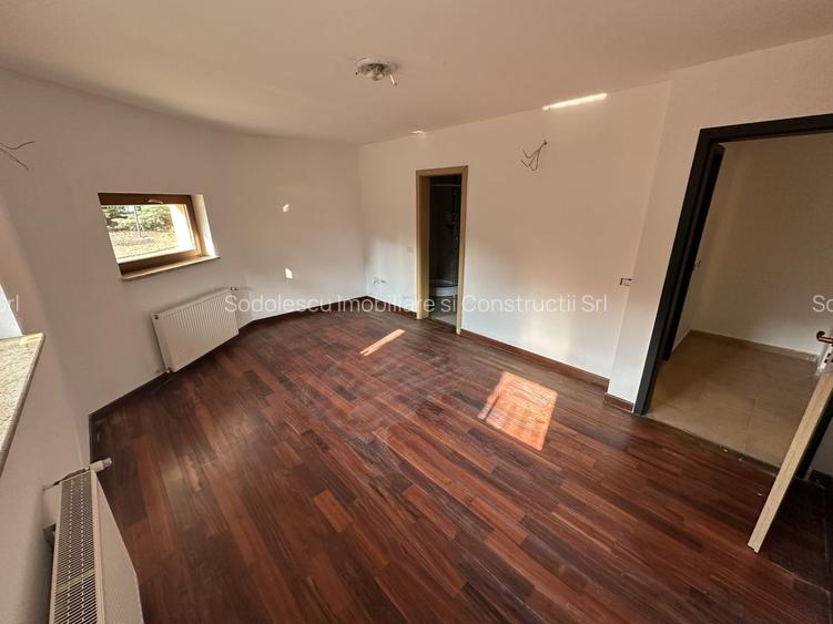 Proprietate cu piscina Dumbravita - 44