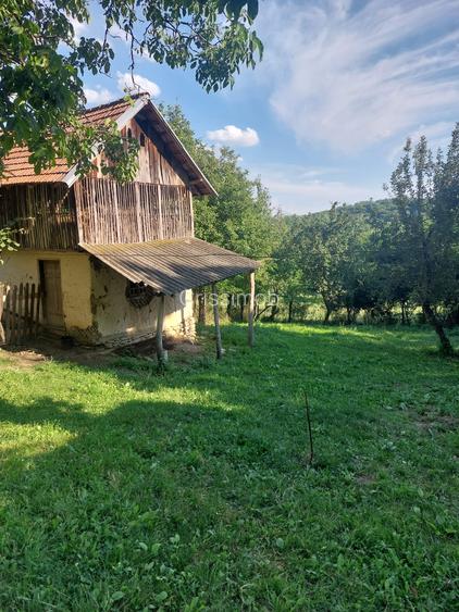 Doua terenuri intravilane in Comuna Teisani de vanzare - 7