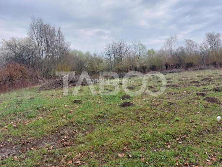 Teren intravilan pentru casa zona linistita 550 mp front 21 m Cisnadie - 7
