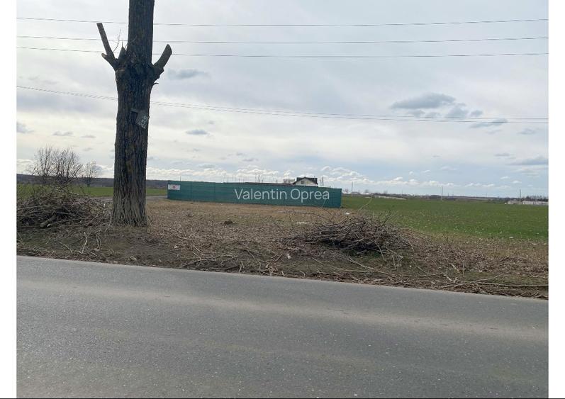 Teren intravilan 665 mp  (550m2 utili) – la șosea principală - 7
