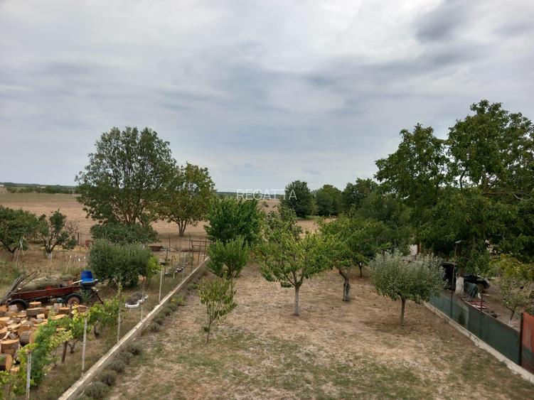 CASA CU TEREN GENEROS IN GRUIU - 38