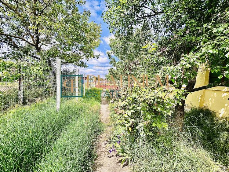 P4504 Casa cu 5 camere in Becicherecu Mic teren 961 mp ASFALT - 13