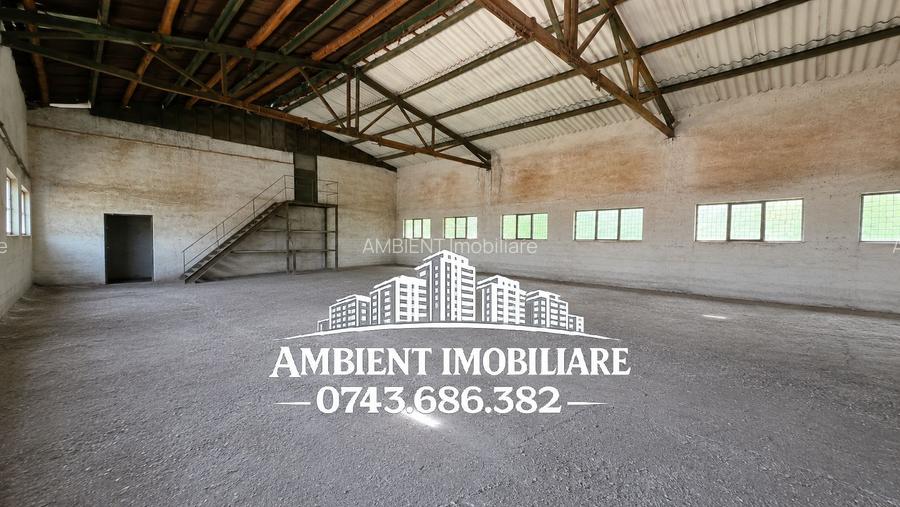 HALĂ DEPOZITARE sau ATELIER, teren 310 mp, VASLUI - zona Industrială; - 4
