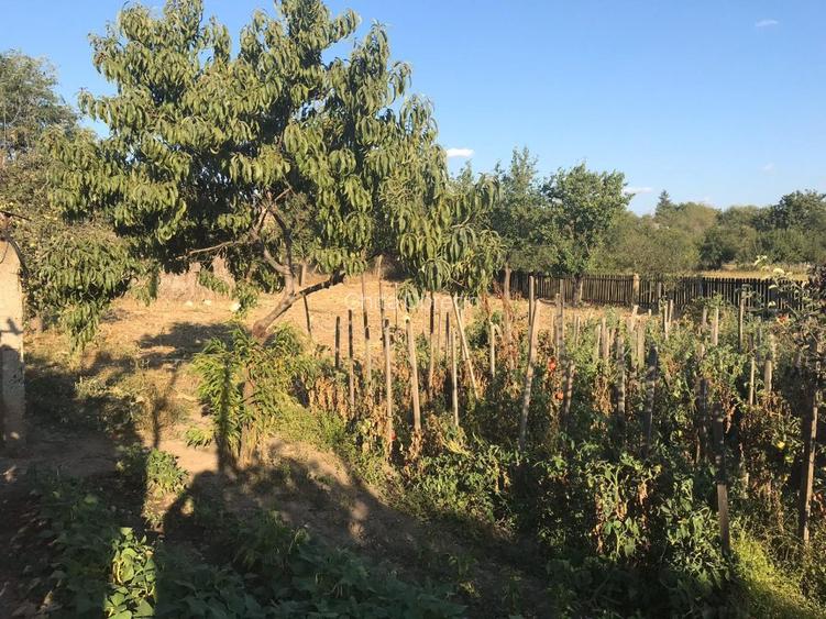 Vând casă în sat Crăciunei, comuna Radomirești, județul Olt - 8