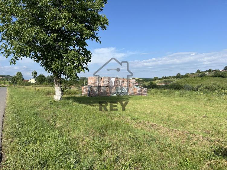 Teren HALA de vanzare iesirea din Sura Mare spre Hamba. - 5