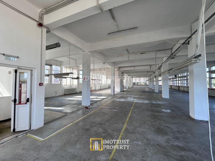 Hală Industrială de inchiriat – Lipova, Județul Arad - 16