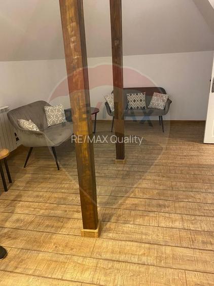 Vila de închiriat–Calea Moșilor /133 mp utili+60 Curte proprie - 28