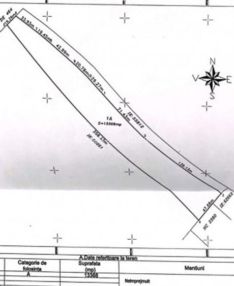 Teren intravilan la asfalt si statie autobuz Ilfov Cernica Posta - 2
