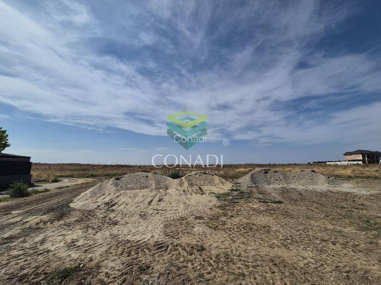 Teren -  Voluntari - zona Matei Millo - 5.607 mp - 3