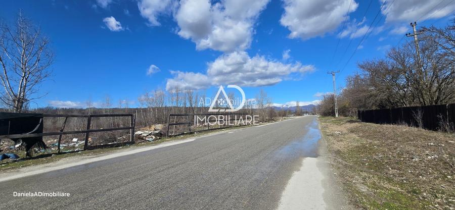 Teren Intravilan de vânzare 12.771 mp – zonă industrială Bârsești - 6