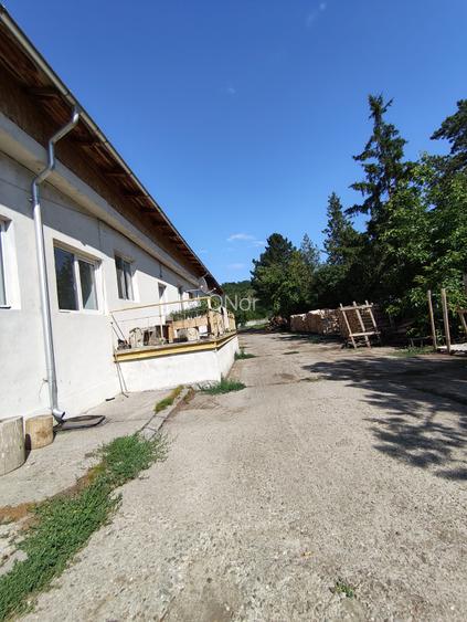 Teren+Hala Soseaua Bacaului-Vaslui 22.000mp - 6