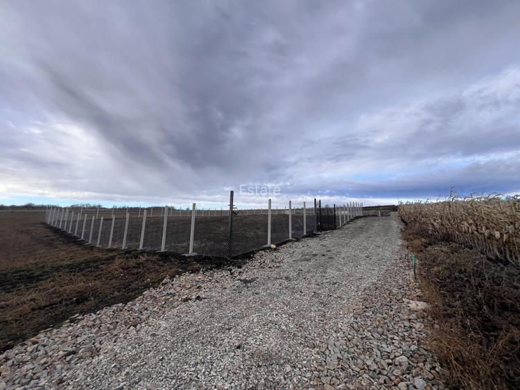 Teren Fanate. Teren cu priveliste superba. - 13