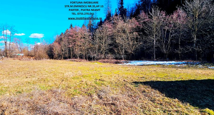 Casa P+M si 1400 mp teren, langa parau si padure,com.Piatra Soimului - 12