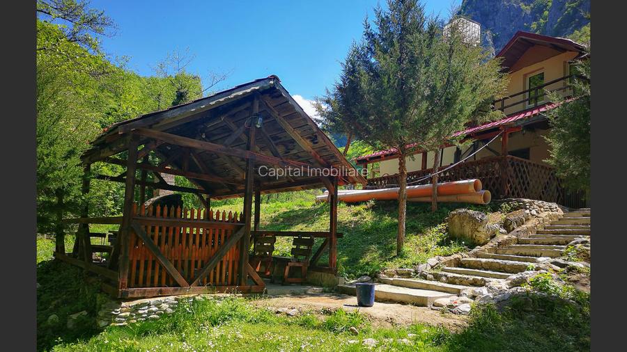 Casa de vacanta perfecta pe malul Cernei  - 5