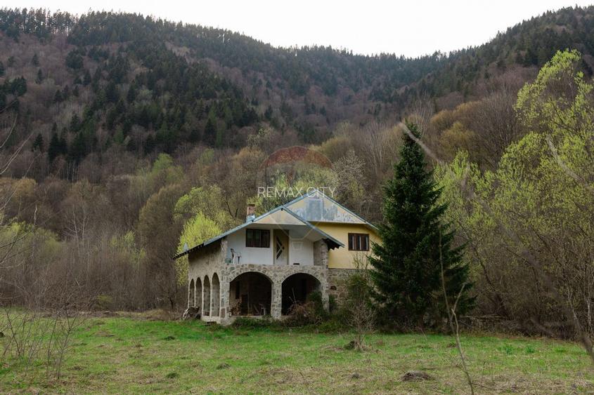 Casa si teren intravilan Tarcau - 36