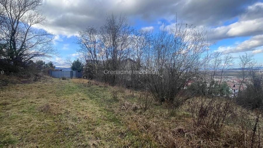 Teren Intravilan 495 mp – Zonă Liniștită Strada Livezii - 3