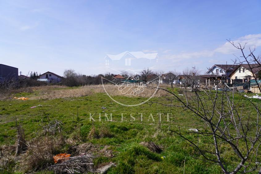 Teren Strada Mare Lumina Central - 5