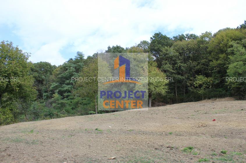 Casa si teren 5.000 mp, Stroesti - 13