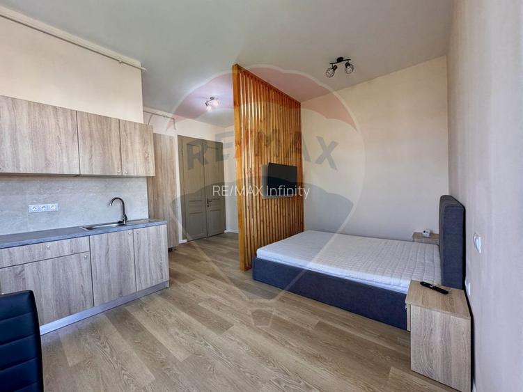 De închiriat - Garsonieră în vilă veche, zona Piața Cipariu - 9