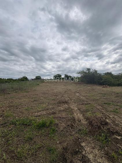 Teren Intravilat 15 ari Livada Meses ptr constructii 127.500eur - 4