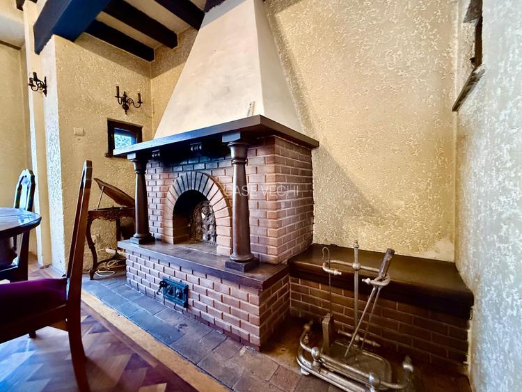 Vila mediteraneana la Gradina Icoanei - 4