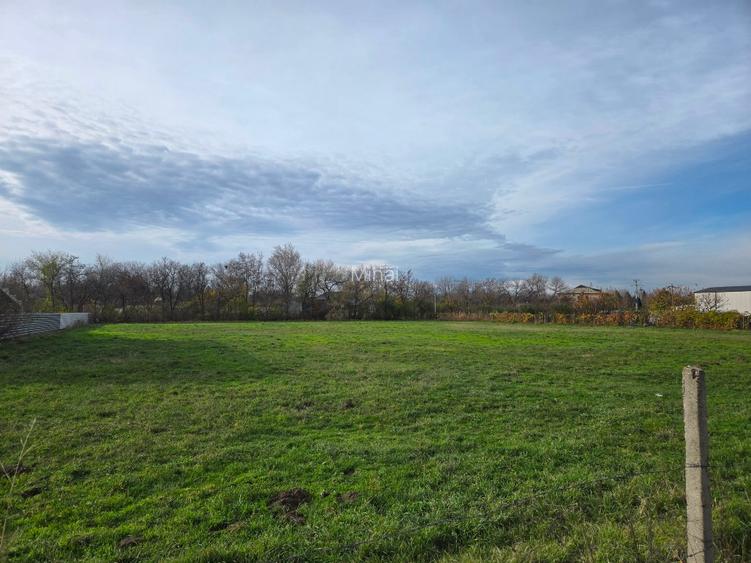 Teren intravilan in Focsani 7200 mp cu 70,5 m deschidere - 10