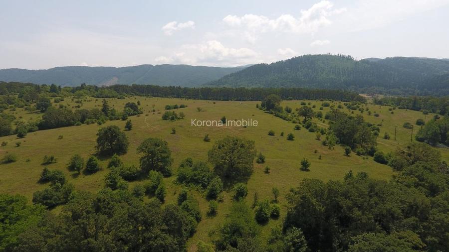 Proprietar vand Teren Cristian 195.000 mp - 2