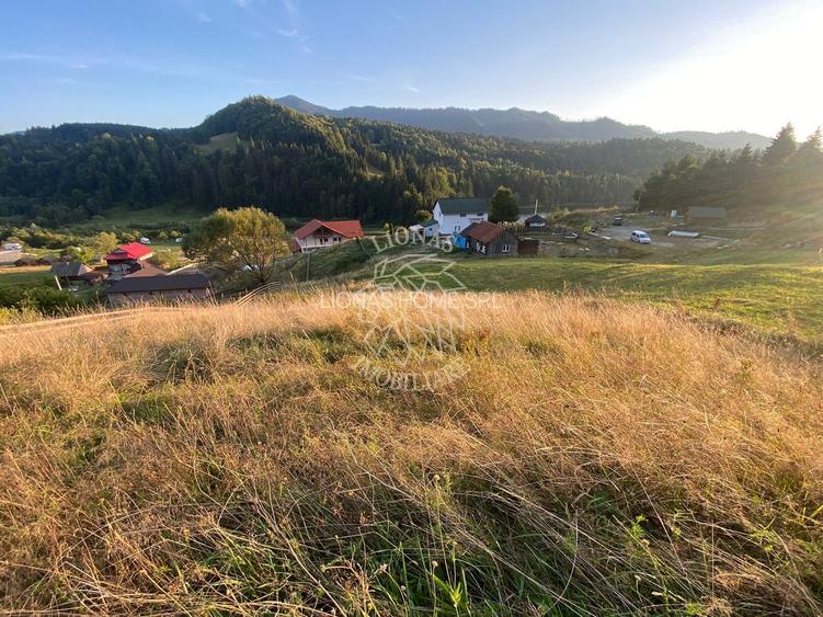 Teren Intravilan 1000mp-panorama-oportunitate investitie-Colibita - 3