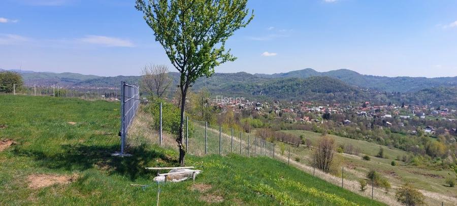 Teren Campina varful Muscel - 12