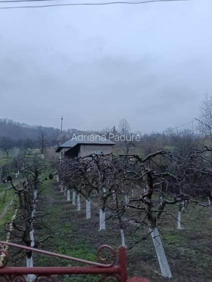 Proprietatea se vinde! - 9