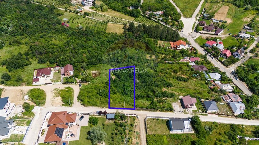 Teren de Vânzare 1450mp la Asfalt - Zona Plopii Fără Soț, Bucium-Iași - 2