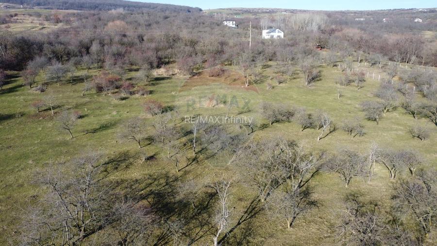 Teren 20.146 mp Dâmbu Rotund (Lomb).Extravilan.Potențial rezidențial - 10