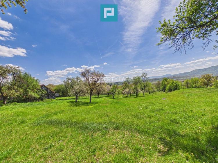Proprietate rară cu 24.270 mp, în Măgulicea, Arad! - 23
