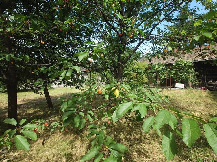 Casa, anexe si teren amplasate central in municipiul Brad - 13